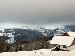 WhatsApp Image 2023-12-16 at 10.40.53.jpeg